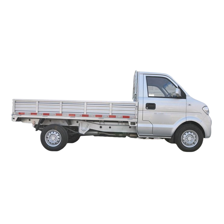 DONGFENG C31 MINI CARGO TRUCK